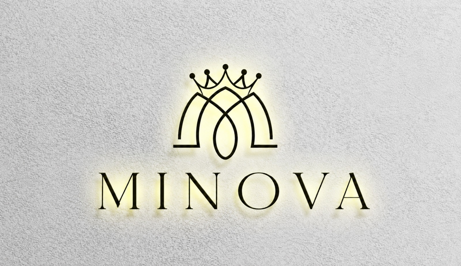 Logo de Bazar Minova